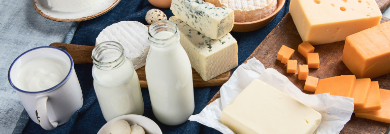 variety of dairy products including milk and cheese