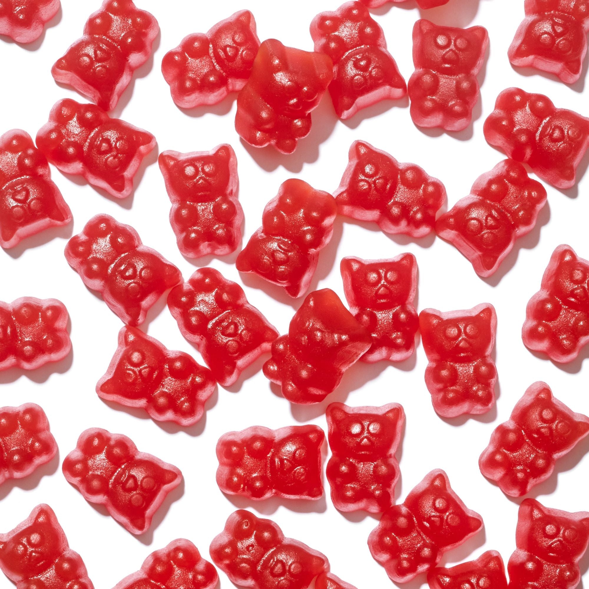 Red gummy bears on a white background