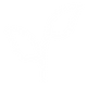Natural leaf icon in white