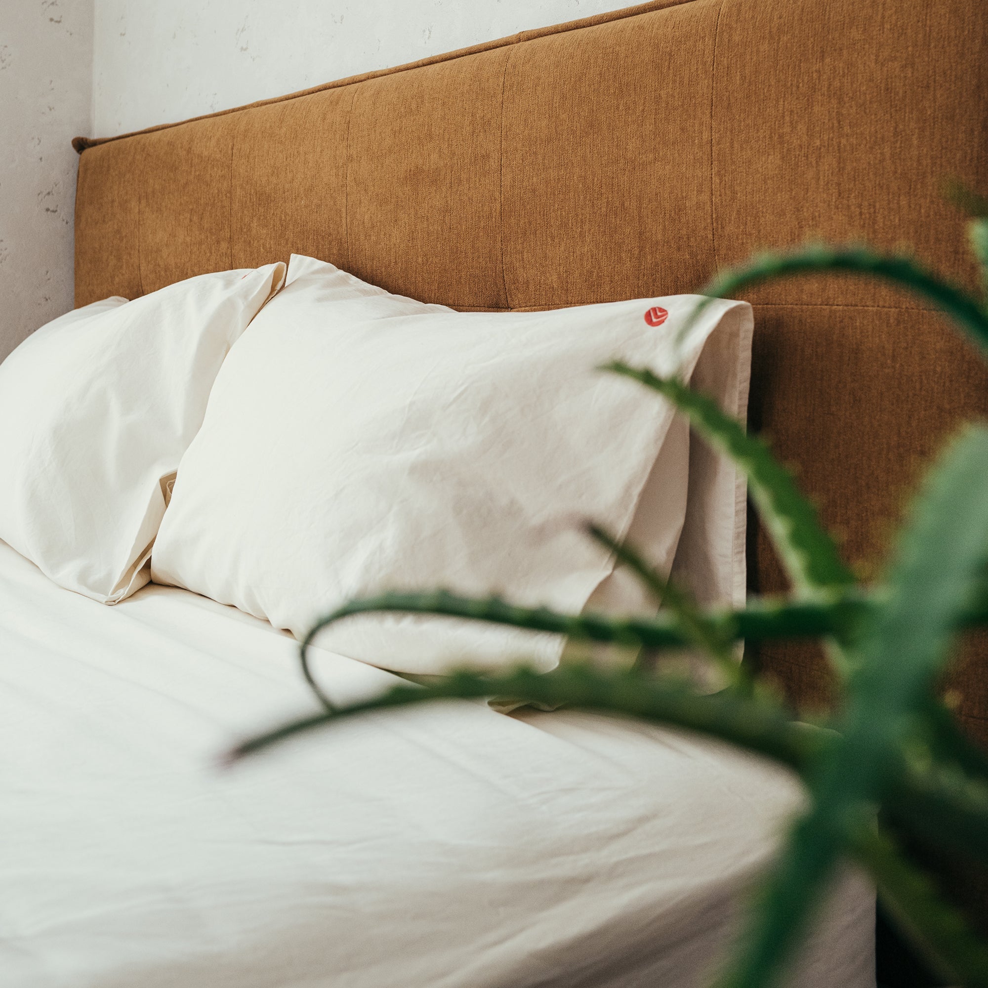 Organic Cotton Fitted Sheet