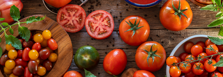 combination of differnt kinds of tomatoes 