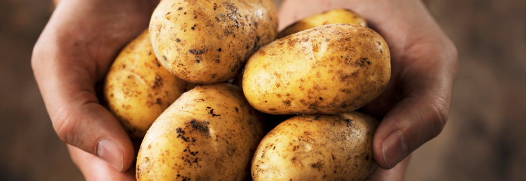 person holding potatoes: potato and eczema