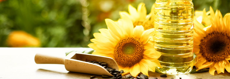 sunflower seeds, sunflower, and sunflower oil for eczema