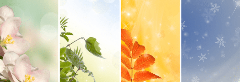 images of spring, summer, fall and winter