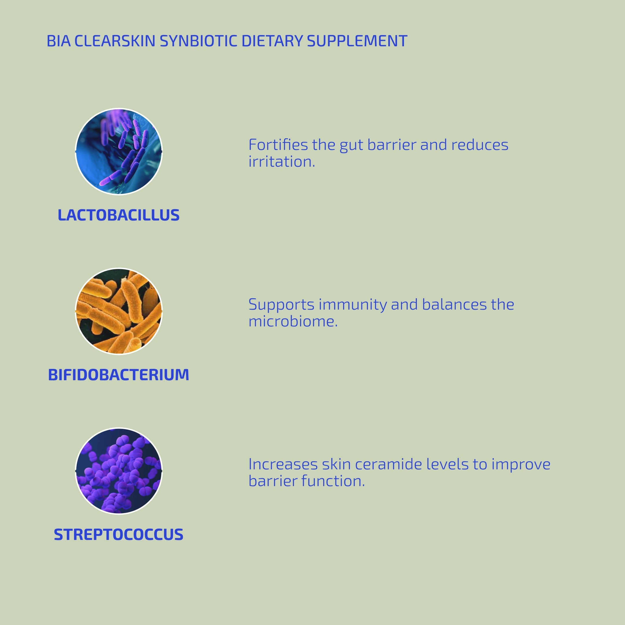 ClearSkin Synbiotic Supplement with Probiotics for Eczema-Prone Skin for Adults & Teens (Age 12Y+)