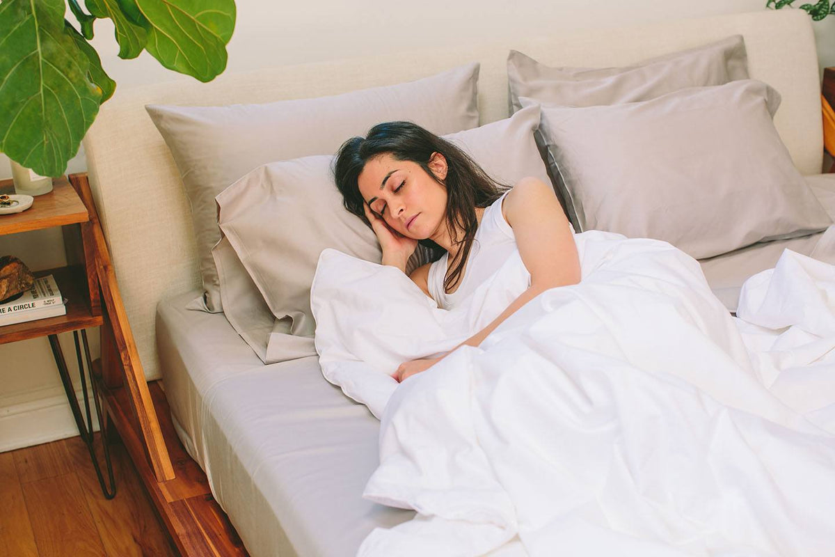 Mulberry Silk & Organic Cotton Comforter