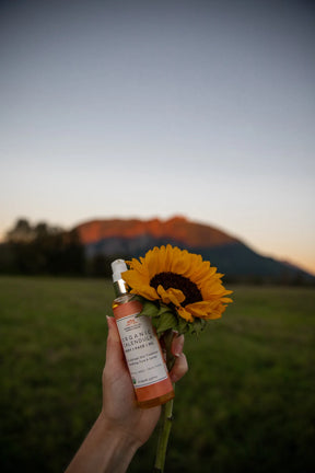 Organic calendula oil in a woman's hand along with a sunflower outdoors.
