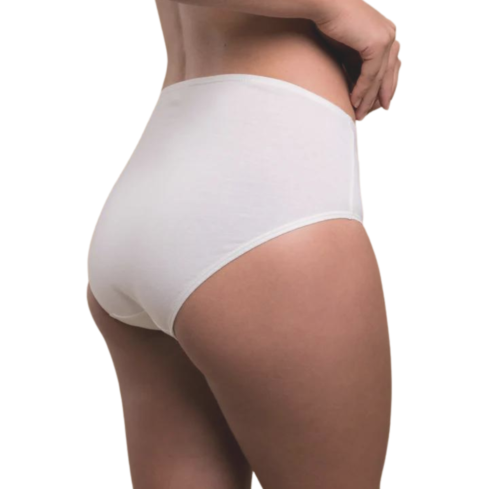 White High Waisted Knickers  High Waisted Briefs & Lingerie